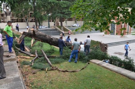 Gəncədə büdcə təşkilatlarından da «fəlakət pulu» toplamağa başlayıblar 