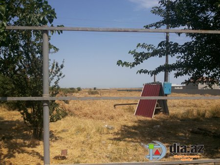 Masallıda yeni firon peyda olub: Qəriblərin bələdiyyə başqanı...