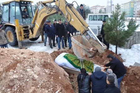 300 kiloluq ölünü traktorla basdırdılar