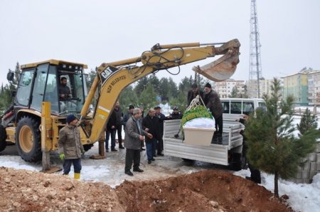 300 kiloluq ölünü traktorla basdırdılar