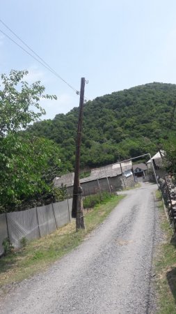 Zaqatalada sahibkar nədən narazılıq edir?