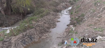 Göyçay sakinləri tanınmış oliqarxdan Prezidentə şikayət etdilər...