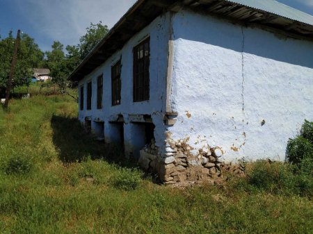 Lerikin icra başçısı Şəhid anasını necə aldadıb...