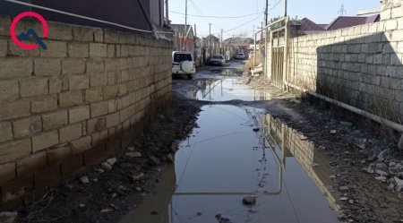 “Şəhidin yaşlı anası bu yollarda yıxıldı...”