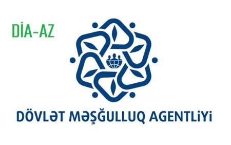 "Məşğulluq Agentliyi insanları ALDADIR..."