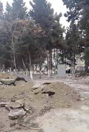 Bakıda yaşıllığa VƏHŞİ MÜNASİBƏTİ... Bakıda yaşıllığa VƏHŞİ MÜNASİBƏTİ...