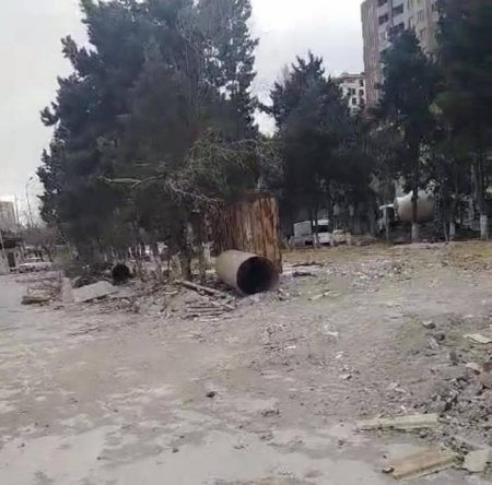 Bakıda yaşıllığa VƏHŞİ MÜNASİBƏTİ... Bakıda yaşıllığa VƏHŞİ MÜNASİBƏTİ...
