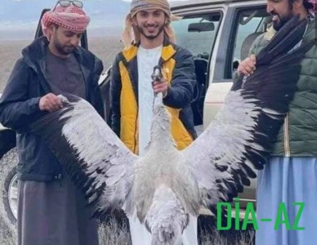 Ana Təbiətimizin BAŞI ÇALMALI QƏNİMLƏRİ... Ana Təbiətimizin BAŞI ÇALMALI QƏNİMLƏRİ...